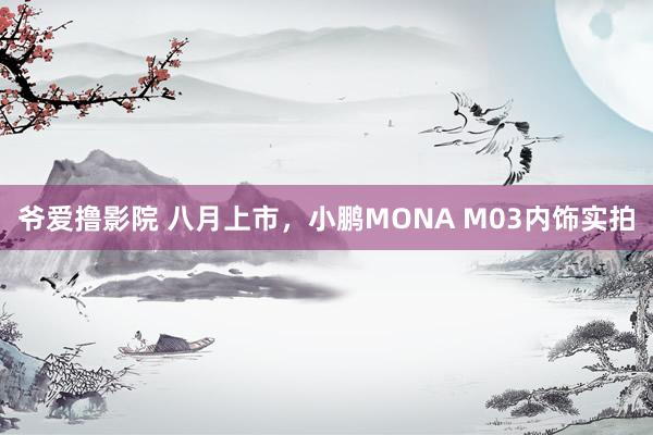 爷爱撸影院 八月上市，小鹏MONA M03内饰实拍