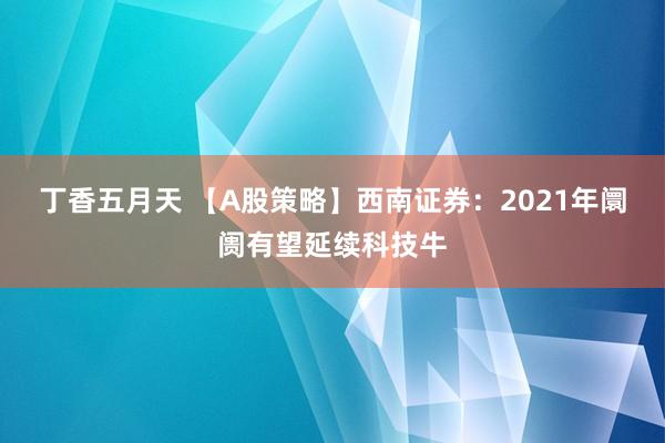 丁香五月天 【A股策略】西南证券：2021年阛阓有望延续科技牛