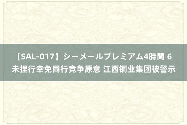 【SAL-017】シーメールプレミアム4時間 6 未捏行幸免同行竞争原意 江西铜业集团被警示