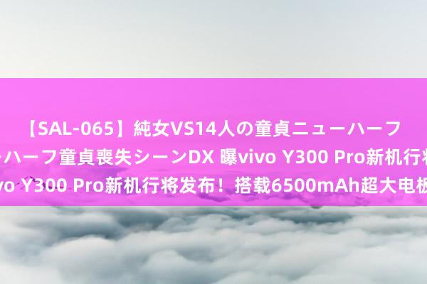【SAL-065】純女VS14人の童貞ニューハーフ 二度と見れないニューハーフ童貞喪失シーンDX 曝vivo Y300 Pro新机行将发布！搭载6500mAh超大电板