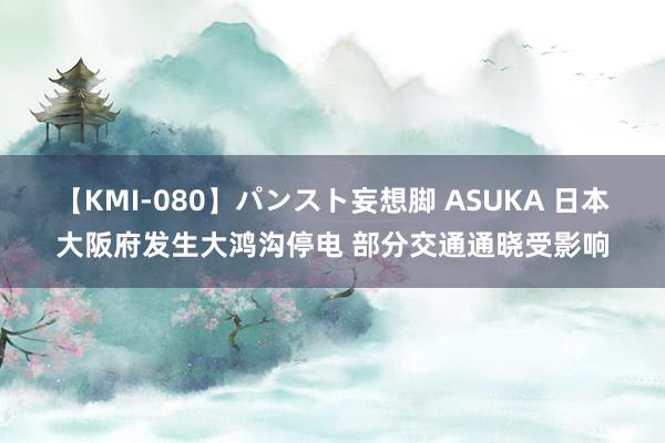 【KMI-080】パンスト妄想脚 ASUKA 日本大阪府发生大鸿沟停电 部分交通通晓受影响
