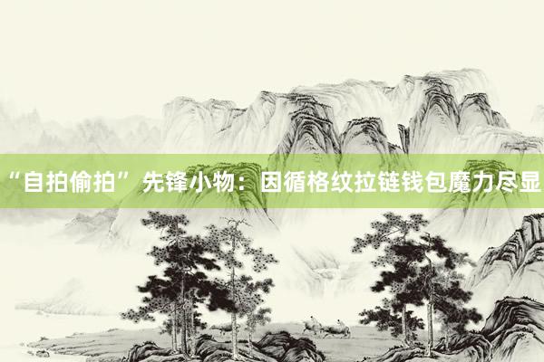 “自拍偷拍” 先锋小物：因循格纹拉链钱包魔力尽显