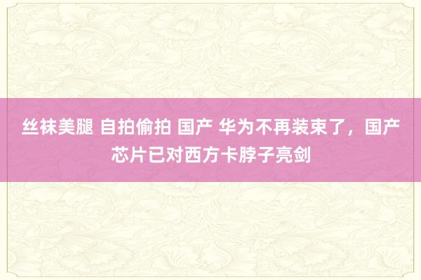 丝袜美腿 自拍偷拍 国产 华为不再装束了，国产芯片已对西方卡脖子亮剑