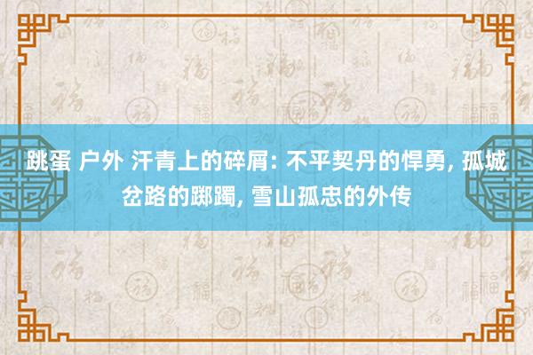 跳蛋 户外 汗青上的碎屑: 不平契丹的悍勇， 孤城岔路的踯躅， 雪山孤忠的外传