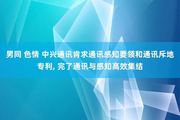 男同 色情 中兴通讯肯求通讯感知要领和通讯斥地专利， 完了通讯与感知高效集结