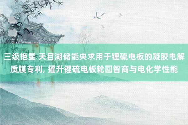 三级艳星 天目湖储能央求用于锂硫电板的凝胶电解质膜专利， 擢升锂硫电板轮回智商与电化学性能