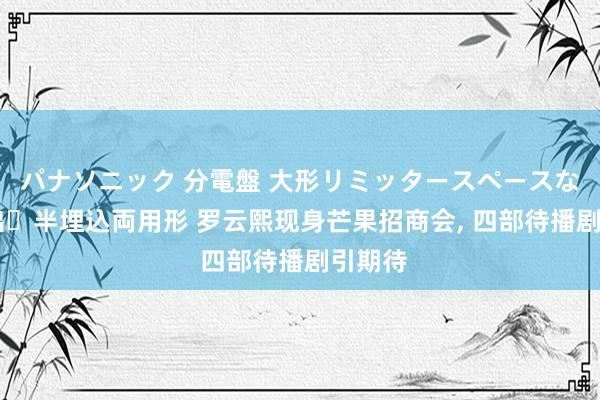 パナソニック 分電盤 大形リミッタースペースなし 露出・半埋込両用形 罗云熙现身芒果招商会， 四部待播剧引期待