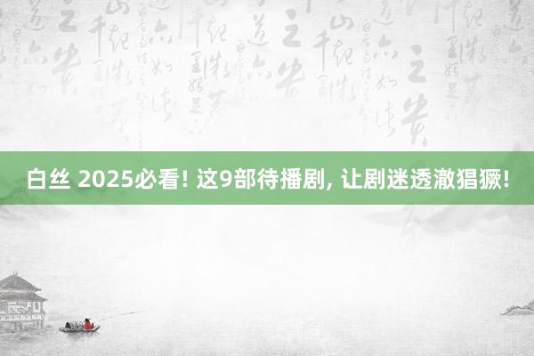 白丝 2025必看! 这9部待播剧， 让剧迷透澈猖獗!