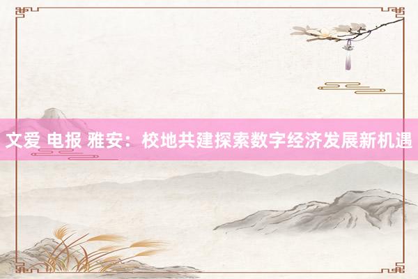 文爱 电报 雅安：校地共建探索数字经济发展新机遇