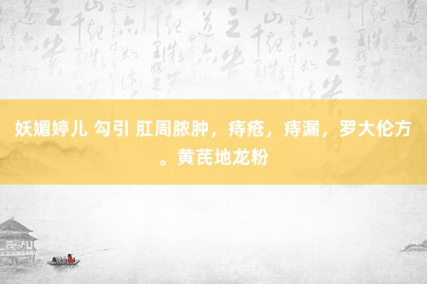 妖媚婷儿 勾引 肛周脓肿，痔疮，痔漏，罗大伦方。黄芪地龙粉