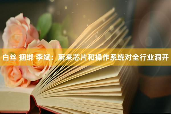 白丝 捆绑 李斌：蔚来芯片和操作系统对全行业洞开