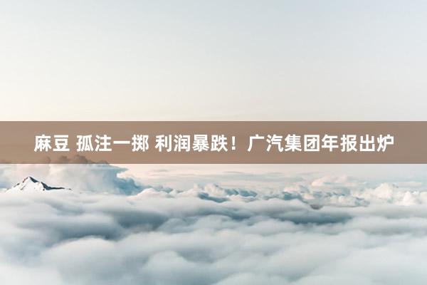 麻豆 孤注一掷 利润暴跌！广汽集团年报出炉